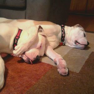 Meet your Posher, Jaime